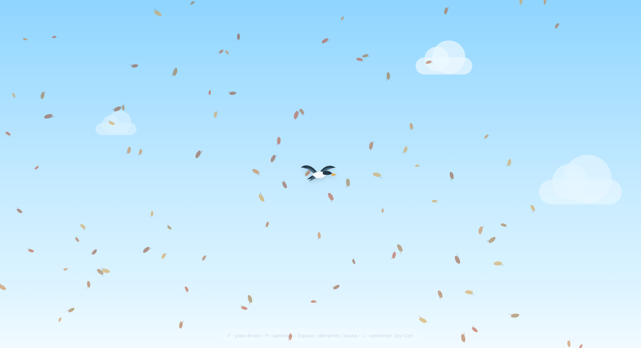 Capture Birdwatch